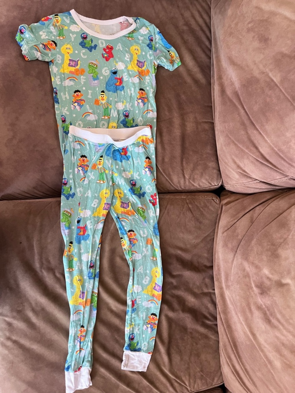 Little Sleepies Sesame Street Mint Character Pajama Set